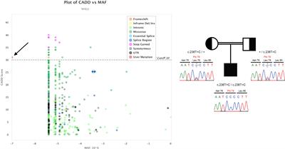 Case Report: Refractory Cytopenia With a Switch From a Transient Monosomy 7 to a Disease-Ameliorating del(20q) in a NHEJ1-Deficient Long-term Survivor